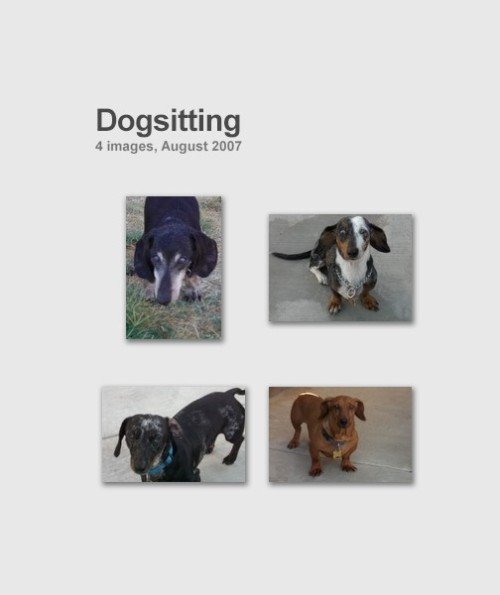 dogsitting.jpg